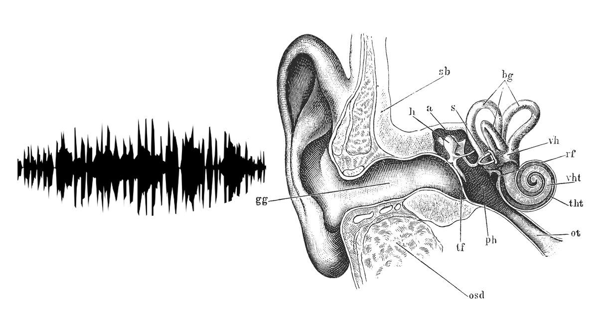 Analyser